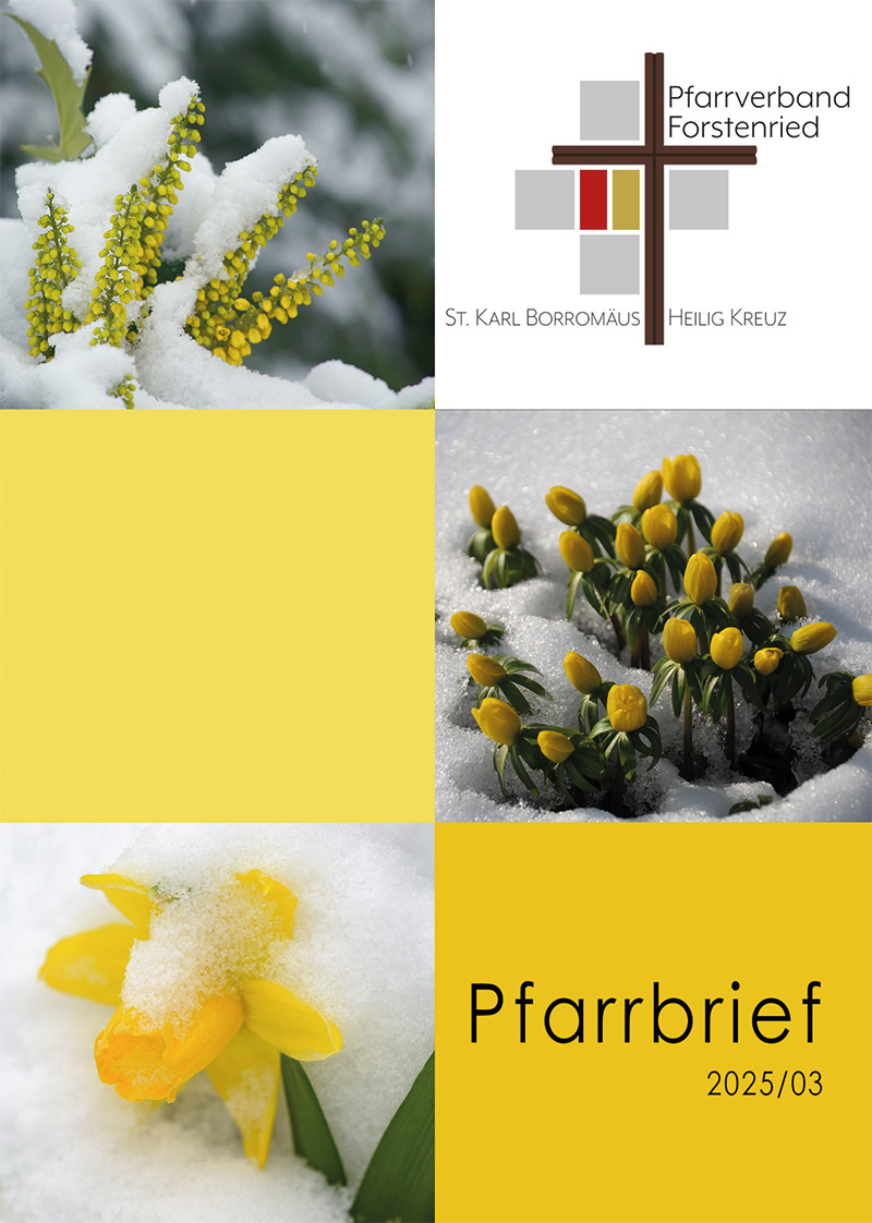 Pfarrbrief 2025/3 | Pfarrverband Forstenried
