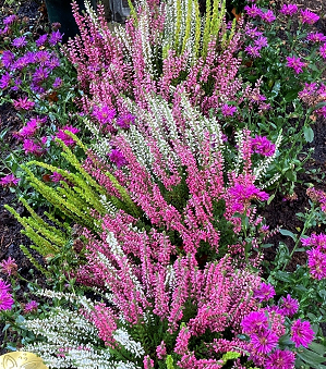 Allerheiligen/Allerseelen